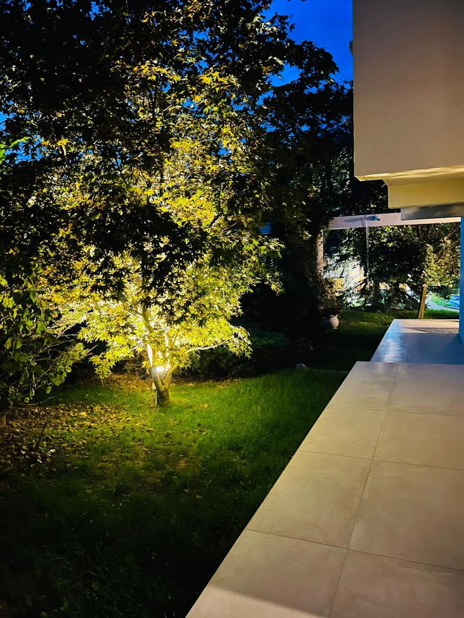 فيلا Evie'S Tree House Dragomirna المظهر الخارجي الصورة