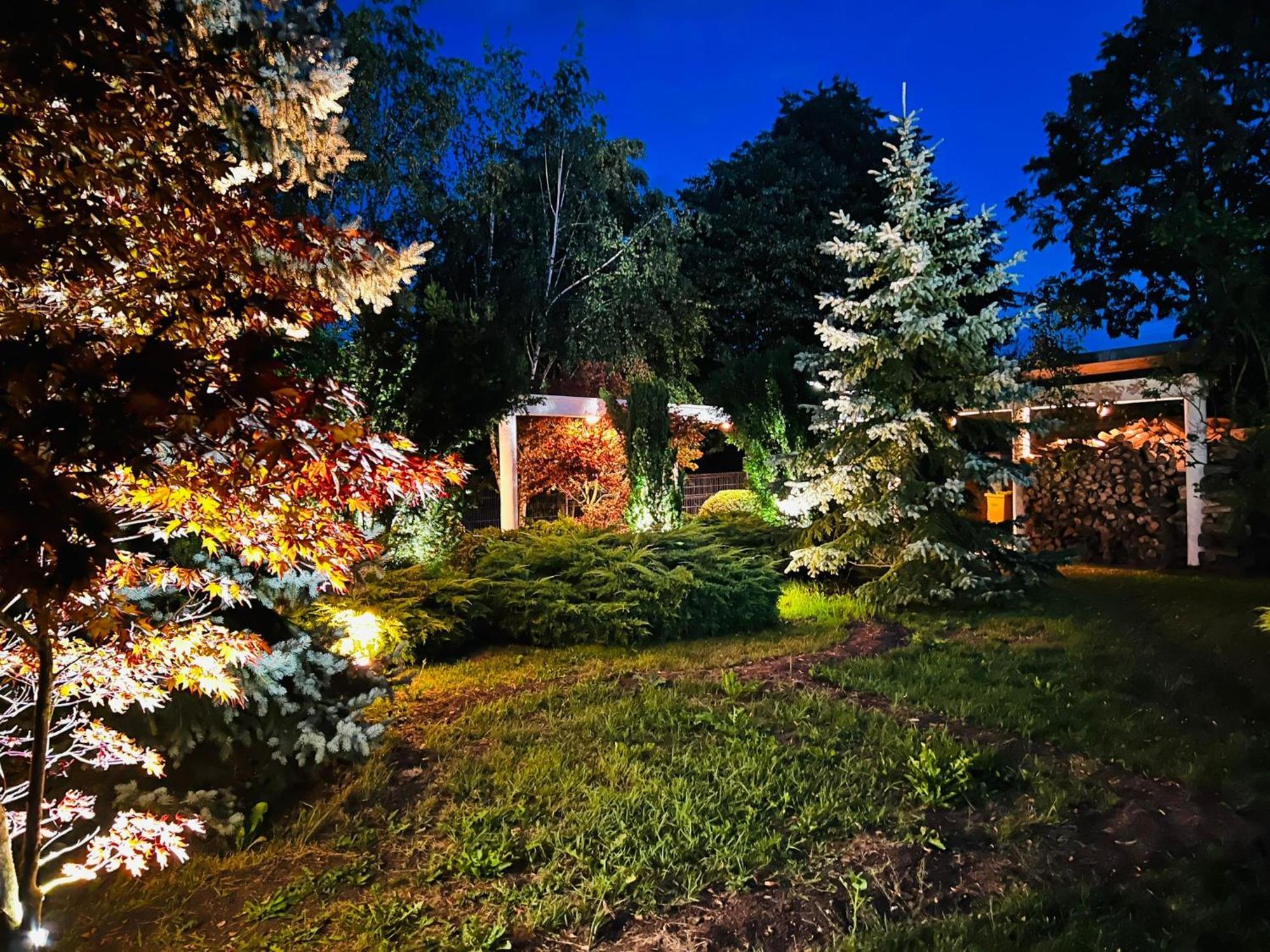فيلا Evie'S Tree House Dragomirna المظهر الخارجي الصورة